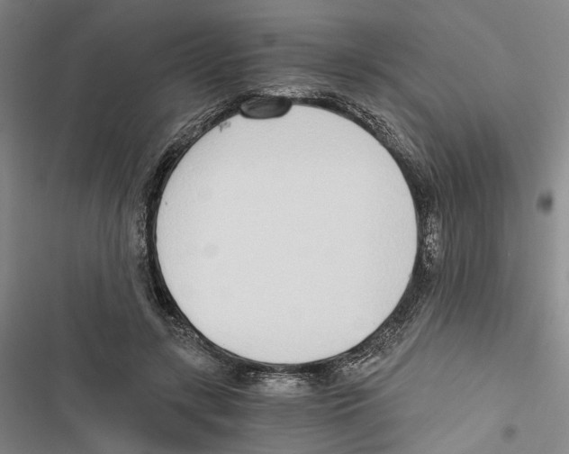 X0000116860547201001191704