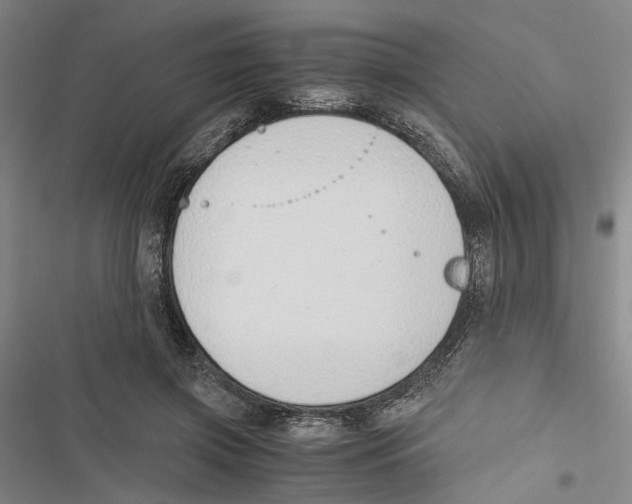 X0000116860549201001191704