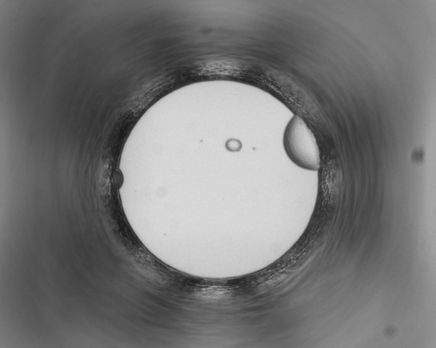 X0000116860551201001191704