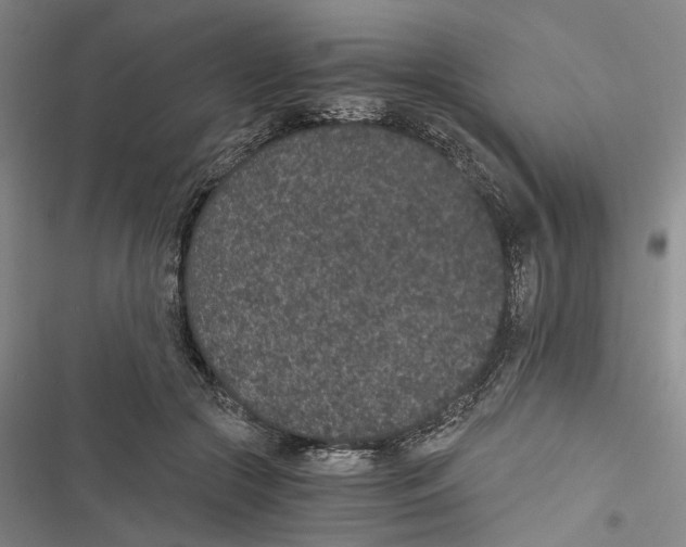 X0000116860553201001191704