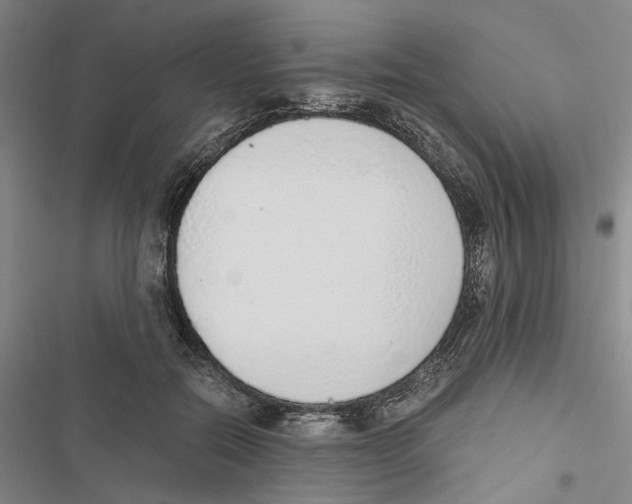 X0000116860554201001191704