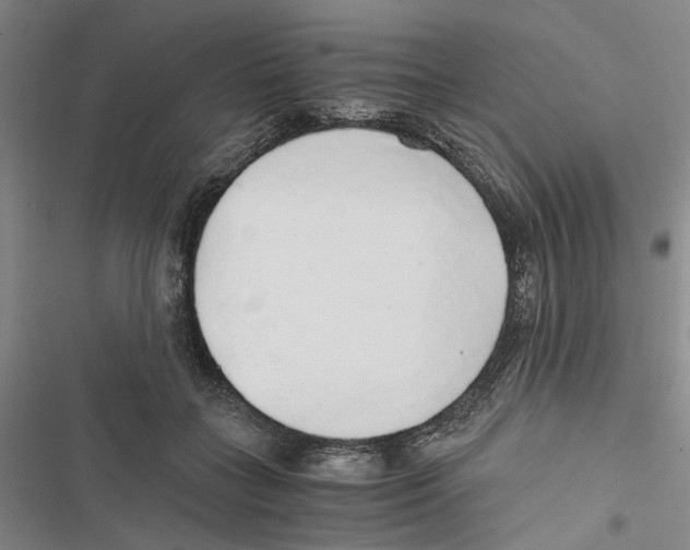 X0000116860555201001191704