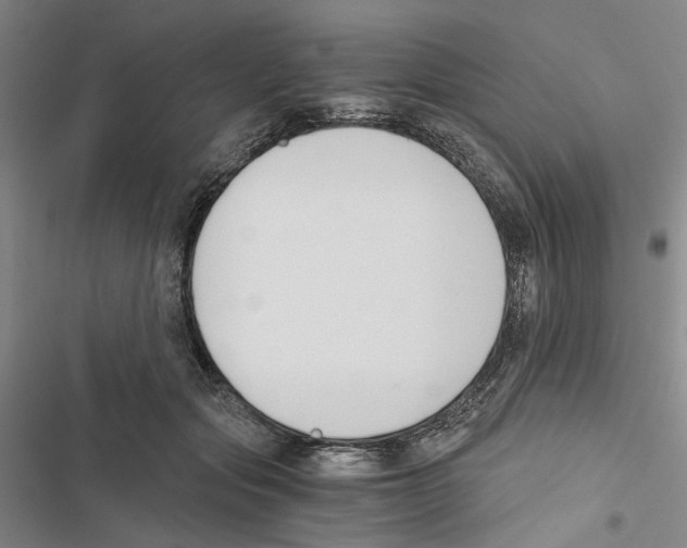 X0000116860557201001191704