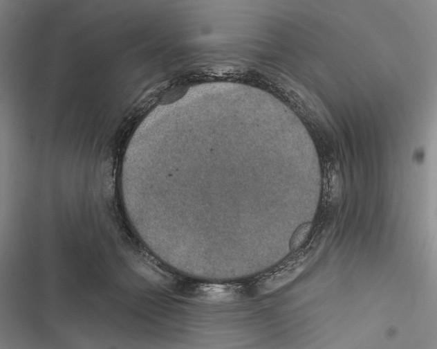 X0000116860558201001191704