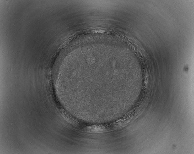 X0000116860559201001191704