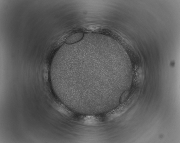 X0000116860562201001191704