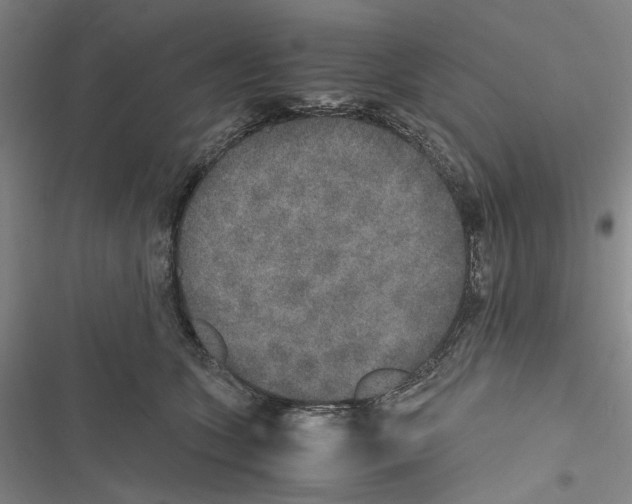 X0000116860563201001191704