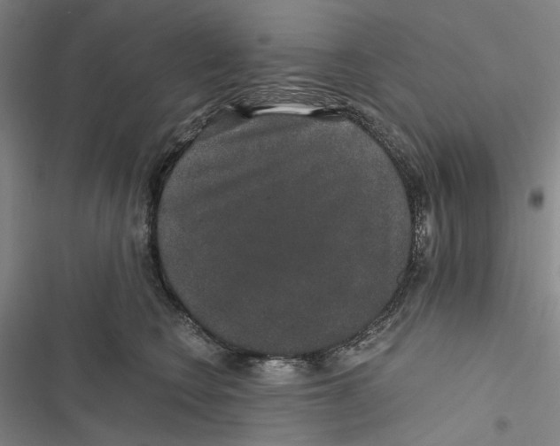 X0000116860566201001191704