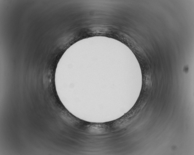 X0000116860567201001191704