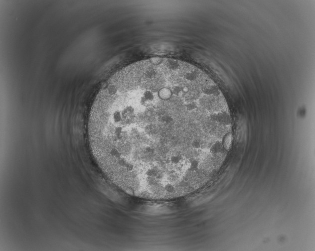 X0000116860569201001191704