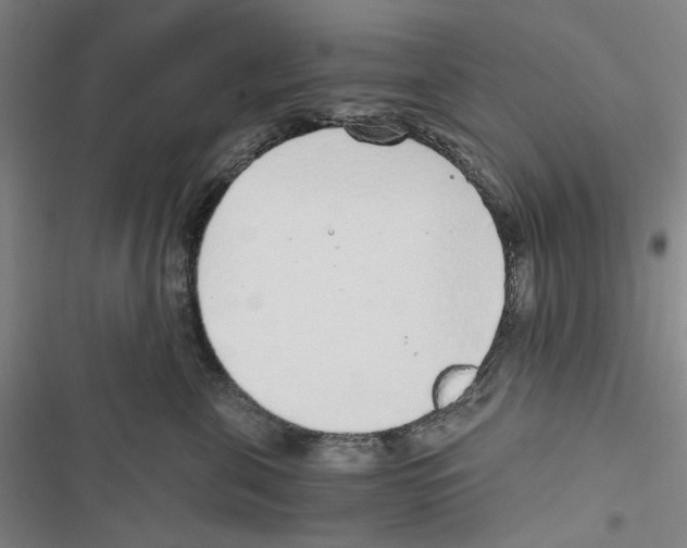 X0000116860571201001191704