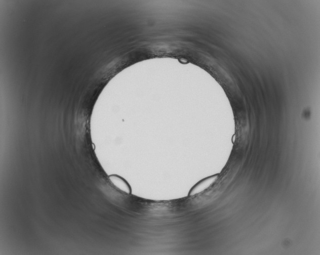 X0000116860574201001191704