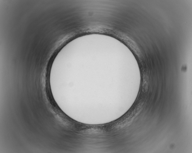 X0000116860578201001191703