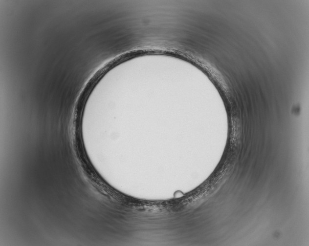 X0000116860580201001191703