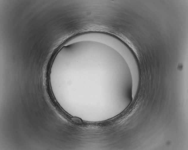 X0000116860581201001191703