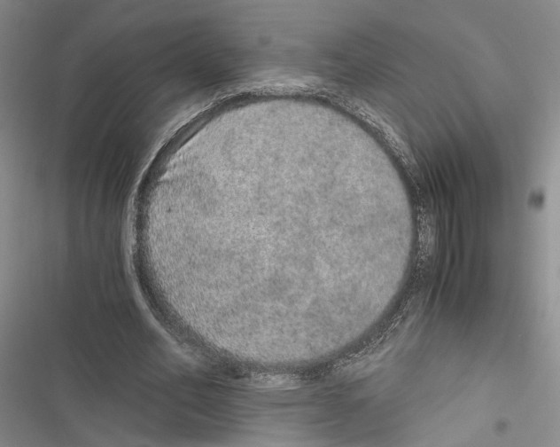 X0000116860582201001191703