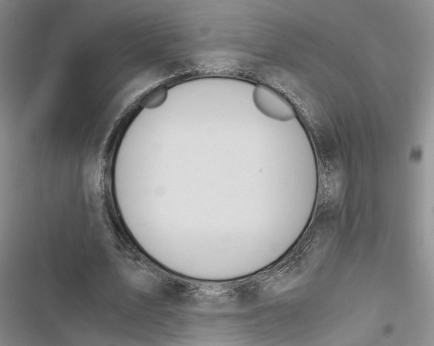 X0000116860583201001191703