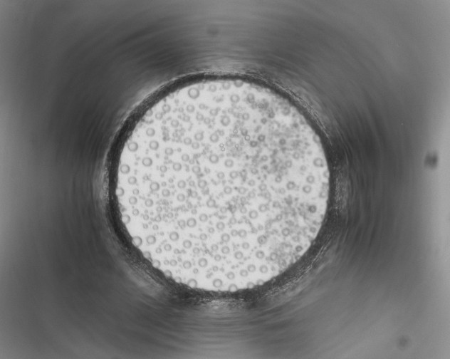 X0000116860584201001191703