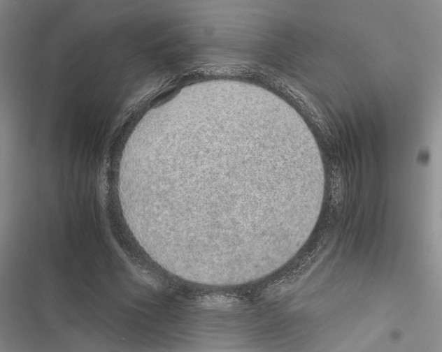 X0000116860586201001191703