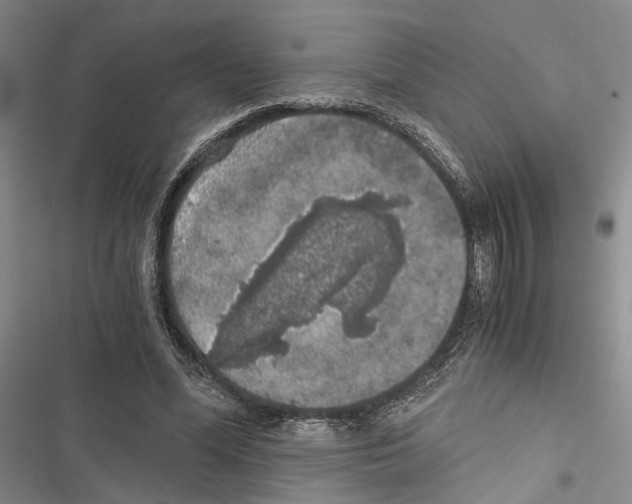 X0000116860588201001191703