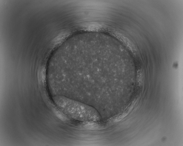 X0000116860589201001191703