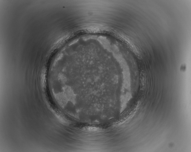 X0000116860590201001191703