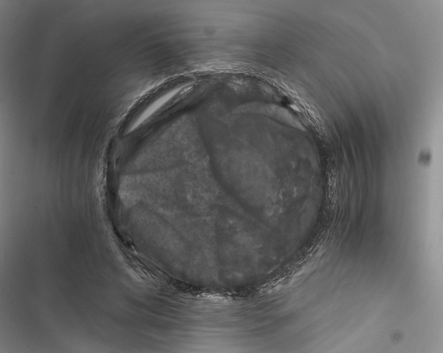 X0000116860592201001191703