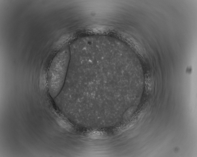 X0000116860593201001191703