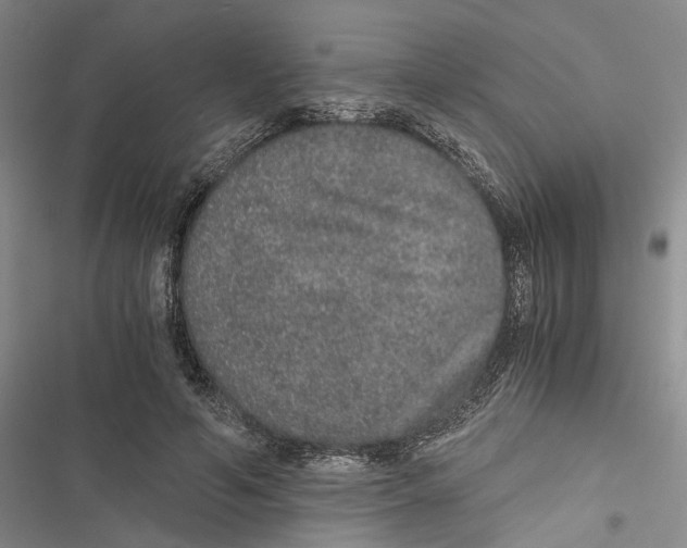 X0000116860594201001191703