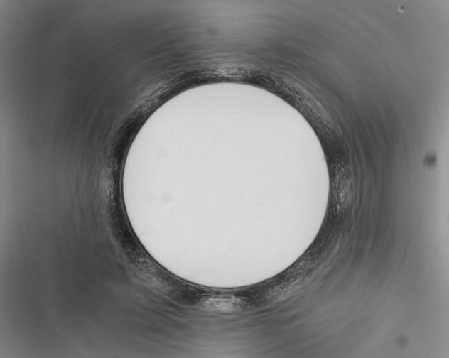 X0000116860595201001191703