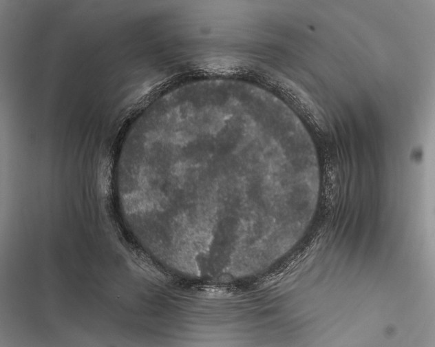 X0000116860596201001191703