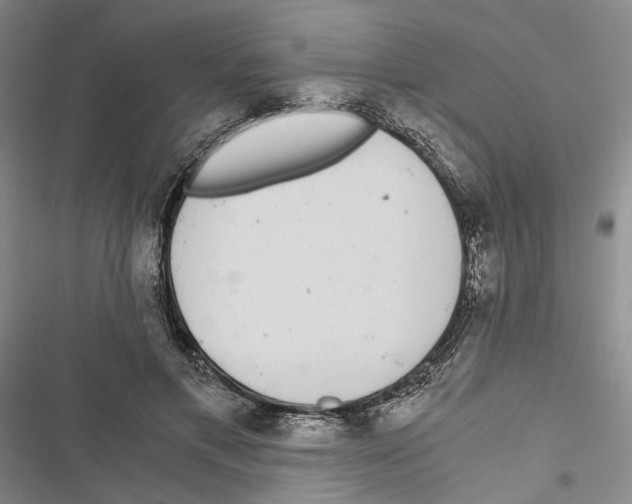 X0000116860597201001191703