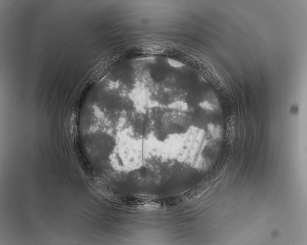 X0000116860598201001191703