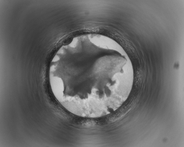 X0000116860600201001191703