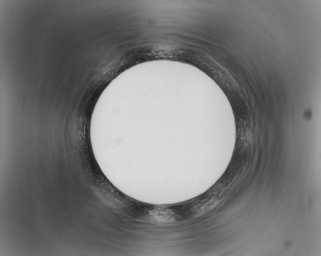 X0000116860603201001191703