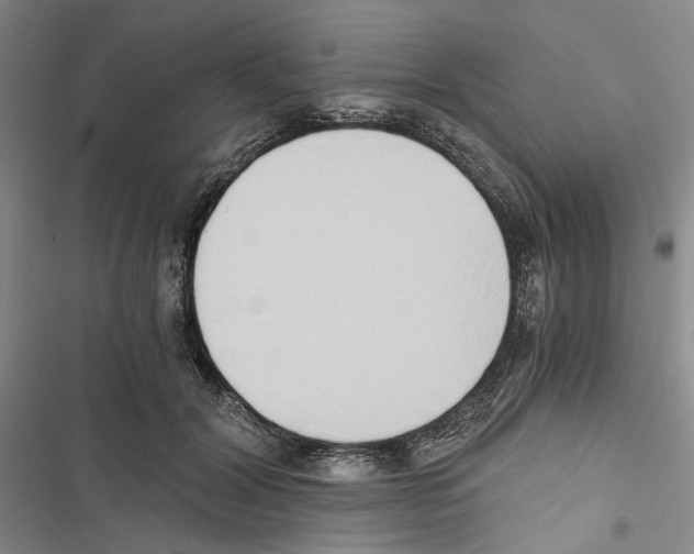 X0000116860604201001191703