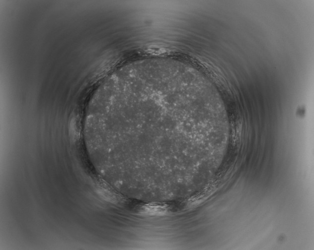 X0000116860606201001191703