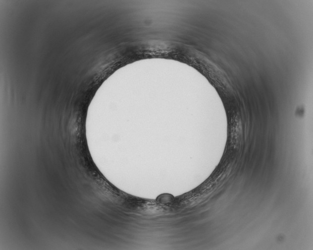 X0000116860608201001191703