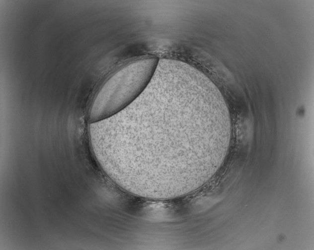 X0000116860611201001191703