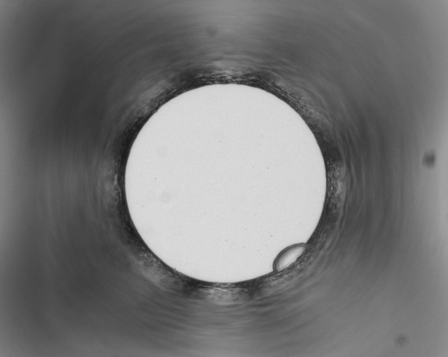 X0000116860615201001191703