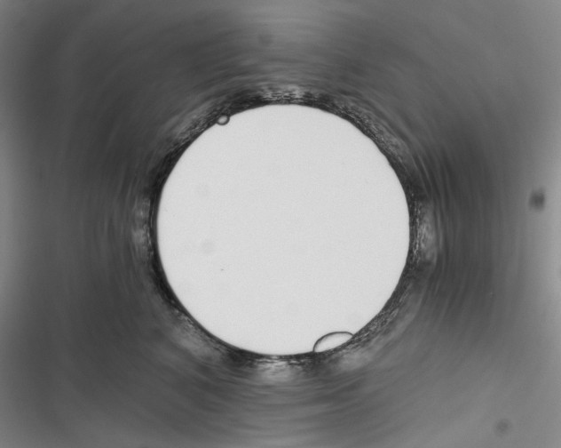 X0000116860616201001191703