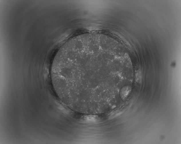 X0000116860618201001191703