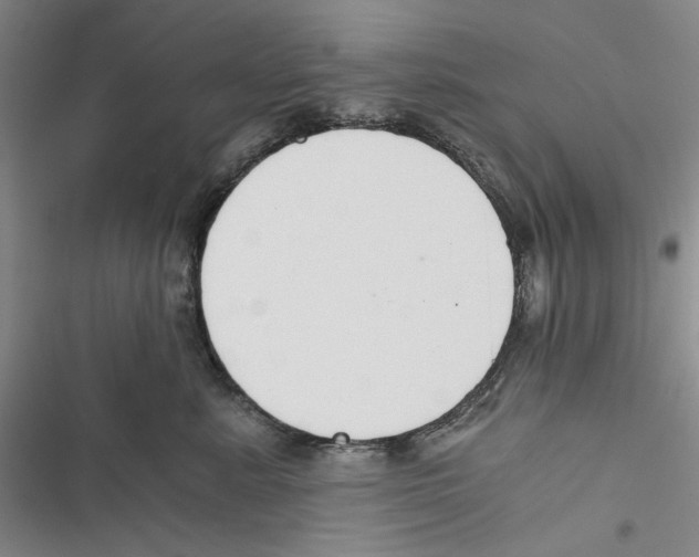 X0000116860619201001191703