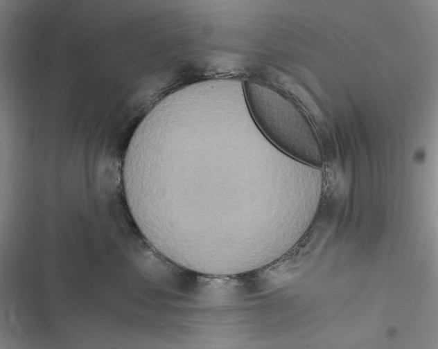 X0000116860621201001191703