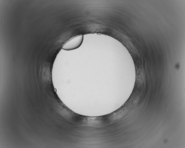 X0000116860622201001191703