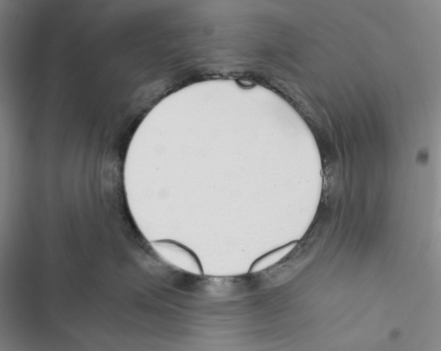 X0000116860623201001191703