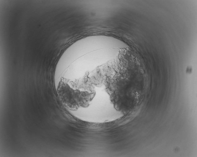 X0000116860624201001191703