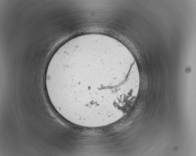 X0000116860625201001191702