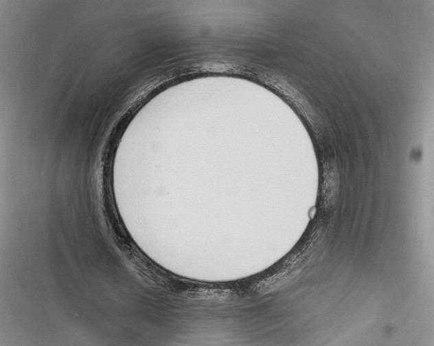 X0000116860626201001191702