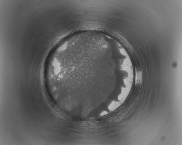 X0000116860627201001191702